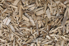 biomass boilers Wagbeach