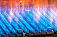 Wagbeach gas fired boilers